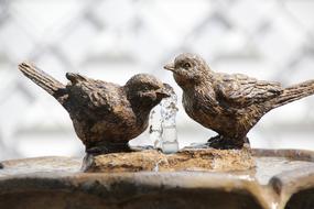 Bird statue on water Fountain