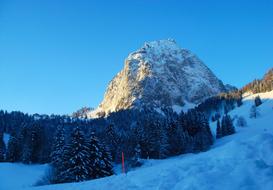 Mountain Snowy Alpine