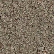 pine bark, tileable pattern