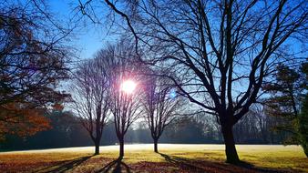 morning Sunrise Park Landscape