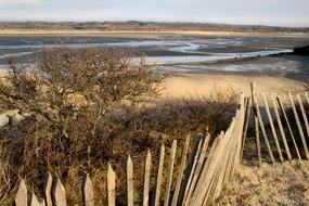Bay Canche Landscape