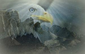 mystical image of an eagle head over the mountains