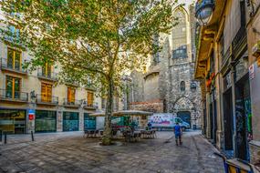 Gothic Barcelona Morning