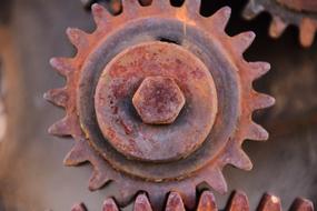 Gear Metal Rust old close-up on blurred background