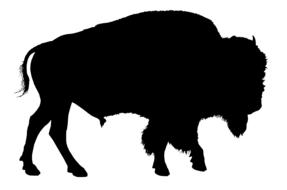 silhouette buffalo drawing