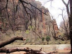 Zion National Park