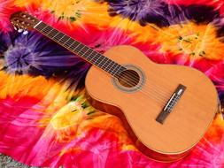 Acoustic Guitar at colorful background