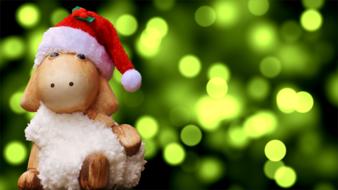 Cute and beautiful sheep figure with red and white Christmas Santa hat