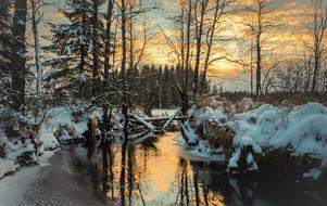 Landscape Winters Nature