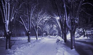 Winter Night Snow