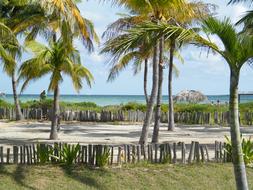 Cuba Beach Cayo guillermo