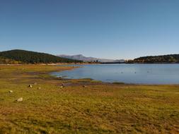 Marsh Jarosa Lake
