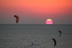 people on parachutes against the background of the sea with the sun