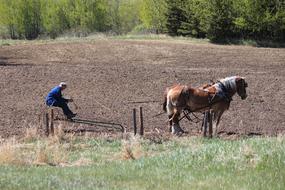 Farming Field Agriculture landscape