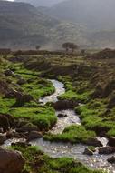 Nature Mountain river
