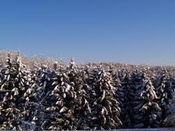 Snow Sun Winer