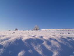 Snow Winter Wintry