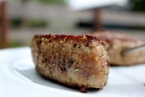 fried juicy piece of meat