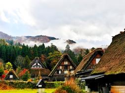 Natural Heritage Japan