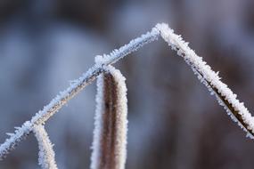 Hoarfrost Frost Winter