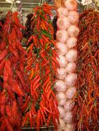 Spicy fresh peppers dangle