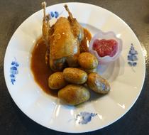 Grey Partridge food