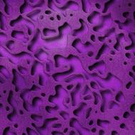 purple coral texture
