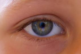 Green Eye of Child close up