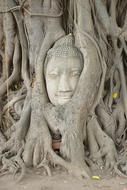 Ayutthaya Buddha Wat Mahathat