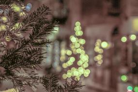 Bokeh Winter Christmas Tree