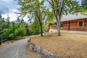 landscape of wooden cabin with hammock
