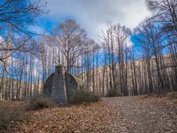 stone house as a refuge in the forest