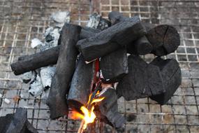wood log burning