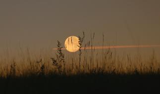 Night full Moon Landscape