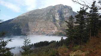 Mountain Foggy forest