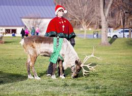 Christmas Santa Claus costumed reindeer and woman