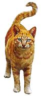 cat watercolor drawing
