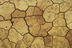 dry cracked soil close up