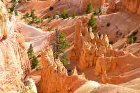 Bryce Canyon Hoodos Usa National