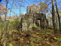 castle ruins in a forest in Poland