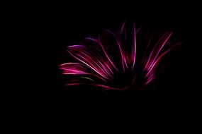 neon purple abstract background drawing