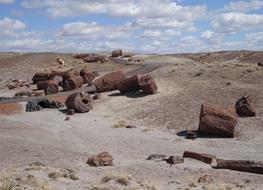 Petrified Forest National Park