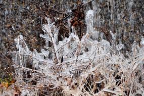 Ice Crystals Freezing drawing