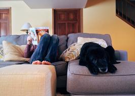 man and dog on couch