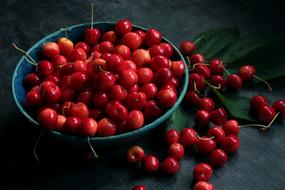 Fruit Cherries in Ceramics