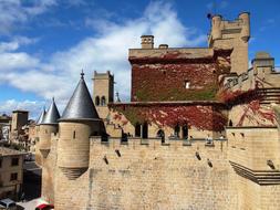 the old castle by the town