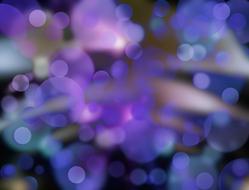 background bokeh circle purple