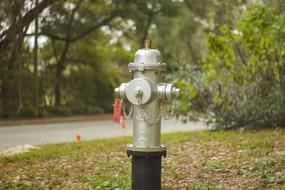 Hydrant Silver Bokeh