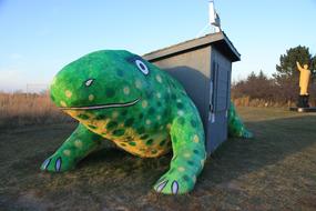 Art Frog house