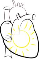 sun in the heart as a drawing